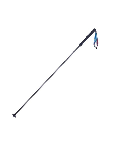 Bastones Carbono Aonijie