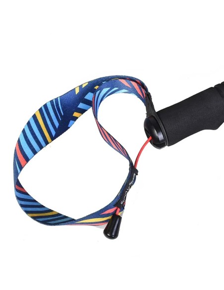 Bastones Carbono Aonijie