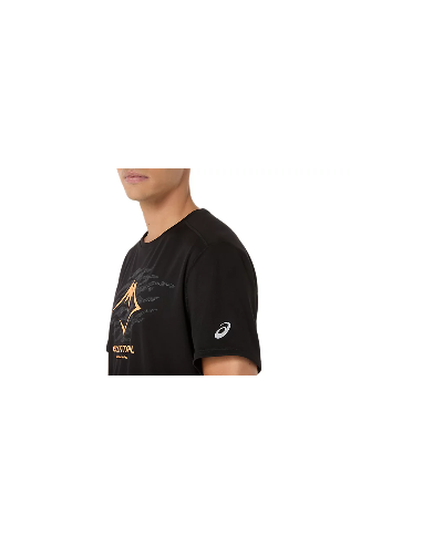 Camiseta Asics Fujitrail Logo SS Top