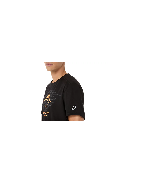 Camiseta Asics Fujitrail Logo SS Top
