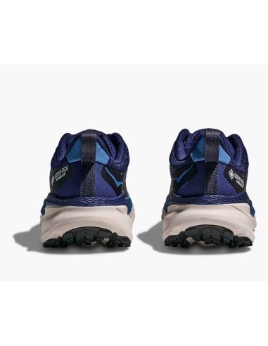 Hoka Challenger ATR 7 Goretex