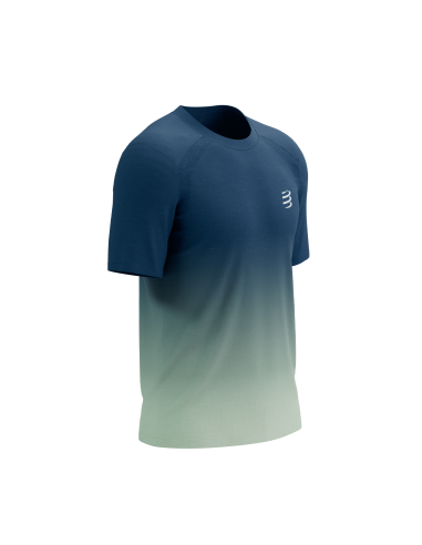 Camiseta Compressport Performance SS Tshirt