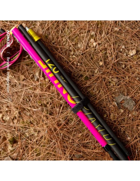 Bastones Aonijie Full Carbono