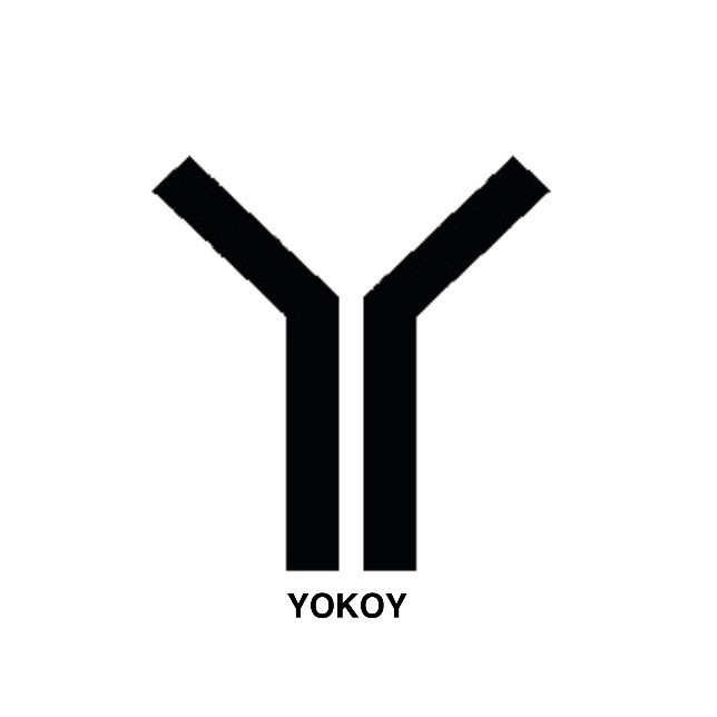 Yokoy